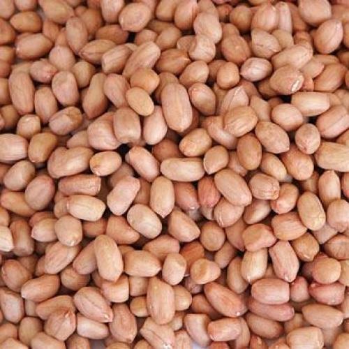 Good Quality raw peanuts (moongfali)- 500gms